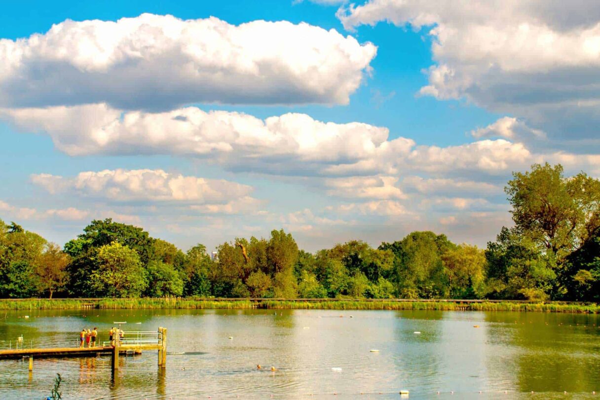 hampstead heath ponds