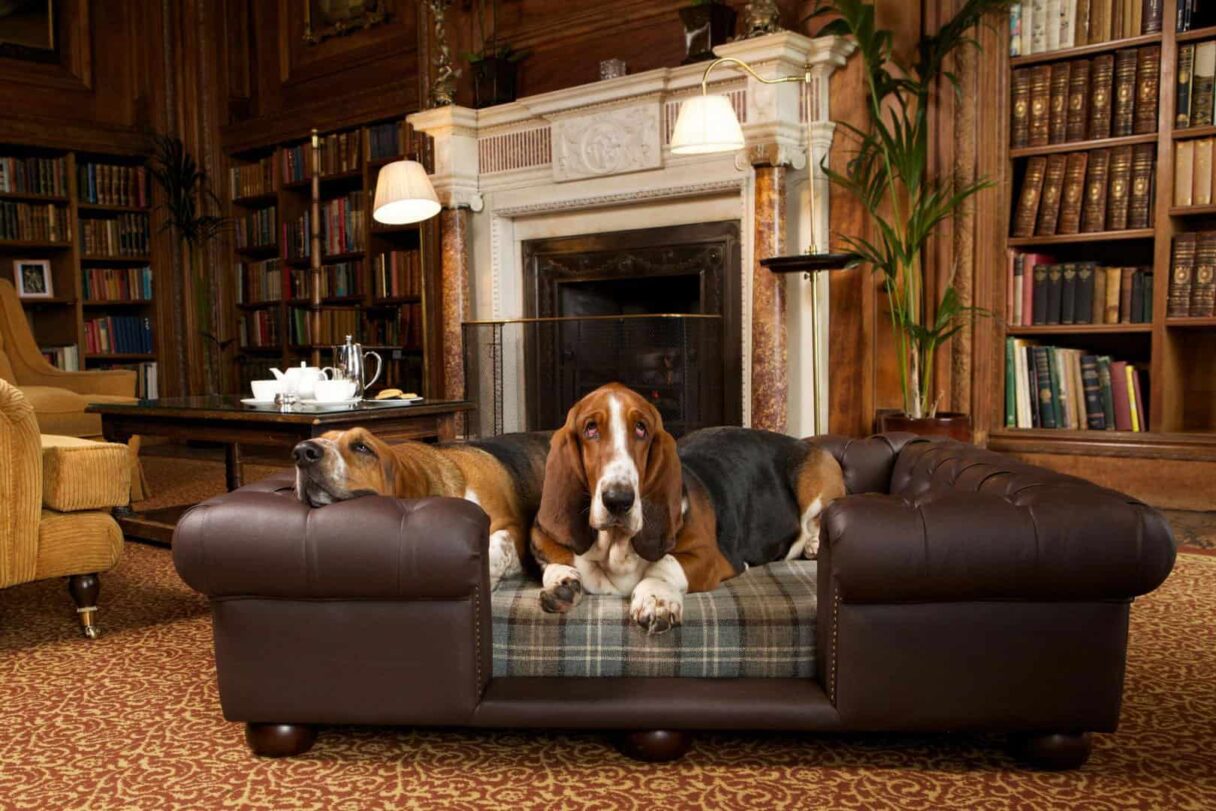 cliveden-house-dogs
