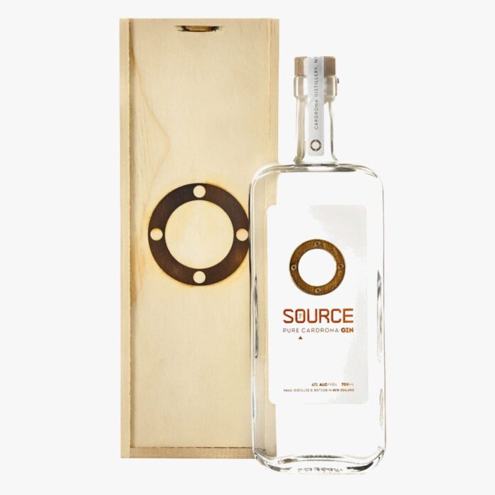 the source gin