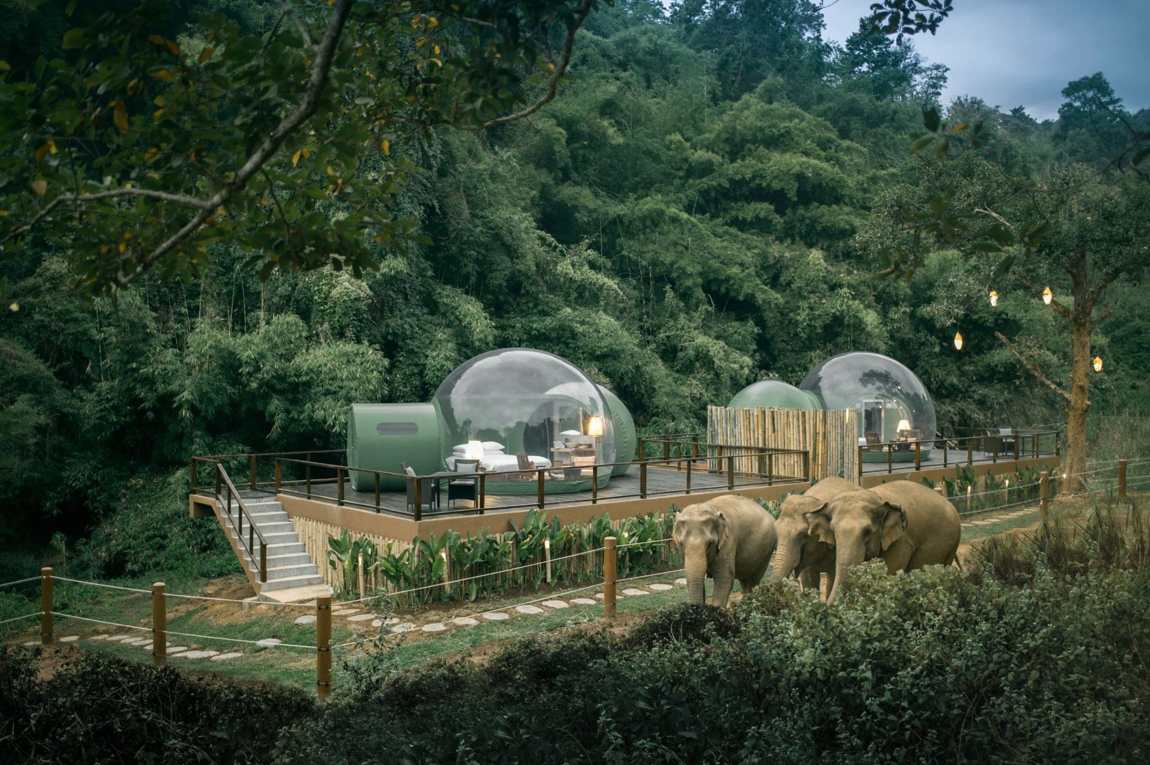elephant travel hotel