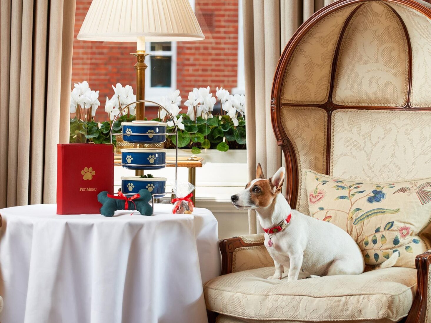 the-best-dog-friendly-restaurants-in-london