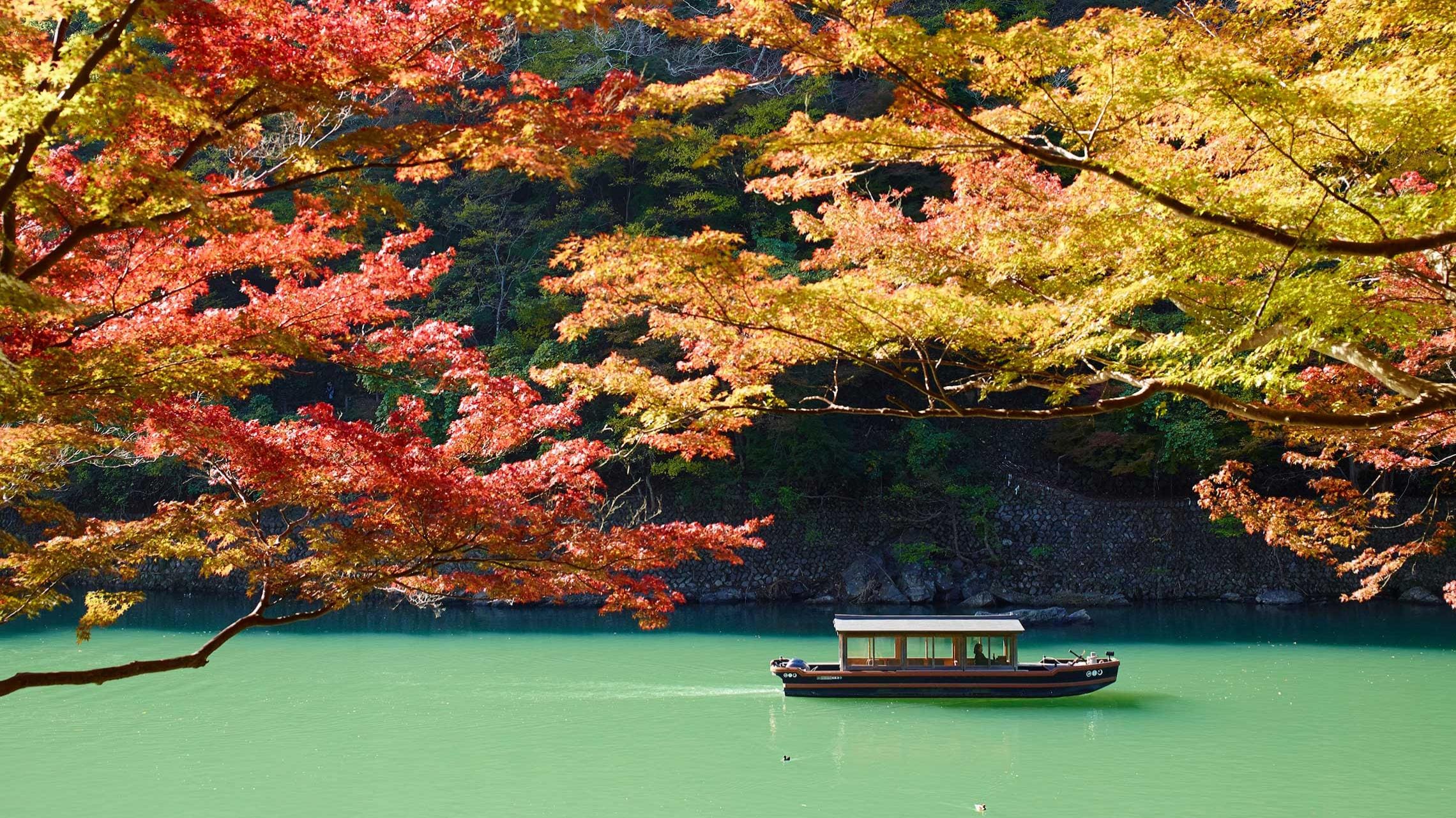 Exploring the Water Culture of Woodland Kyoto