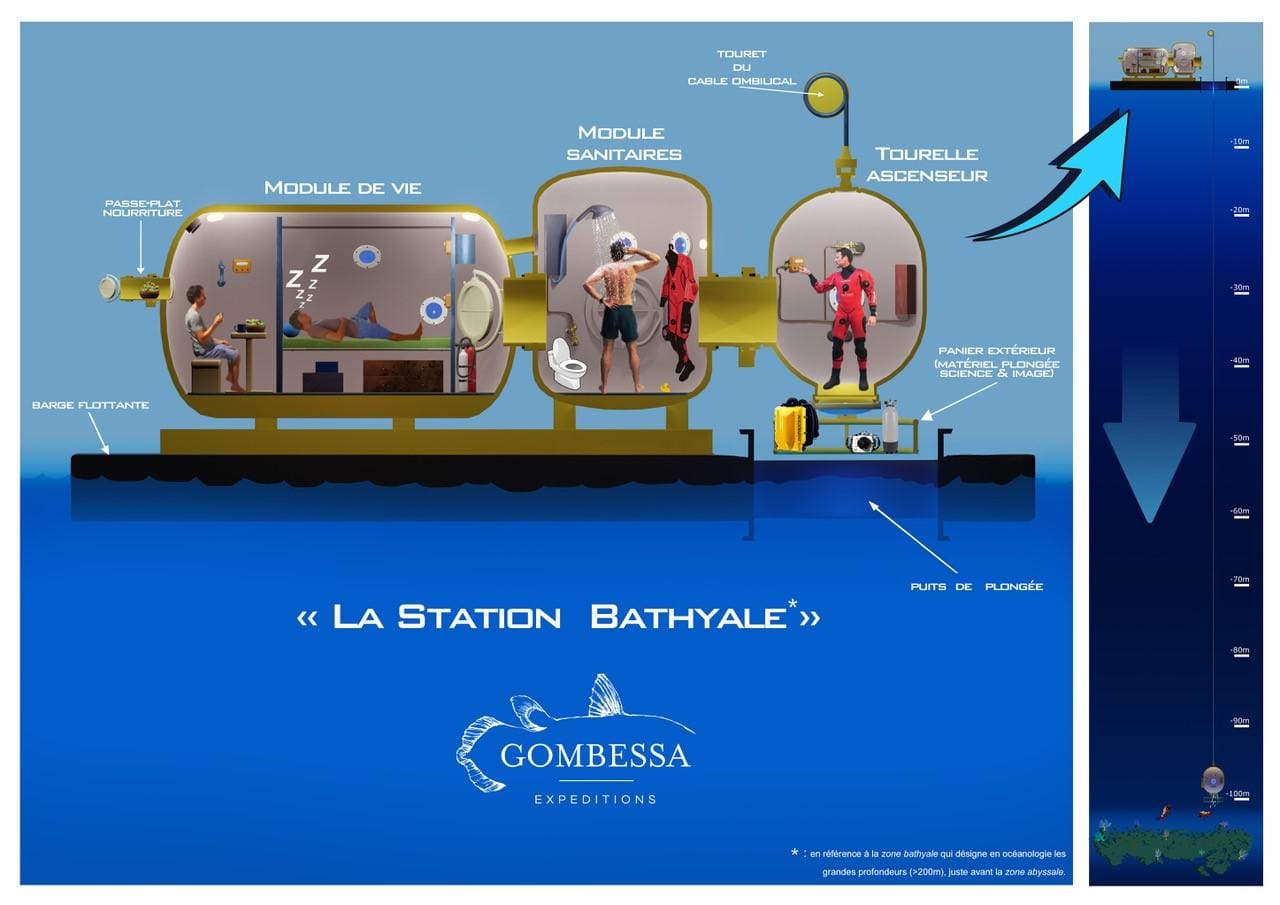 スーパーセール 目玉商品 Laurent Ballesta's month-long dive backed byBlancpain その他
