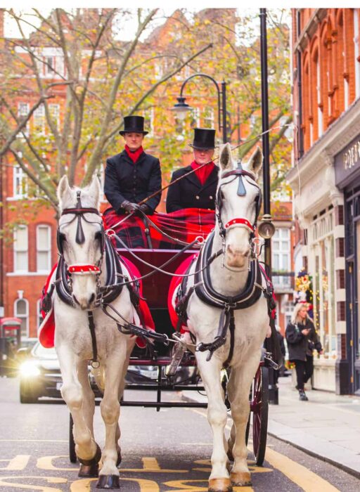 chelsea christmas carriage rides