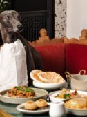 kricket dog-friendly restaurants