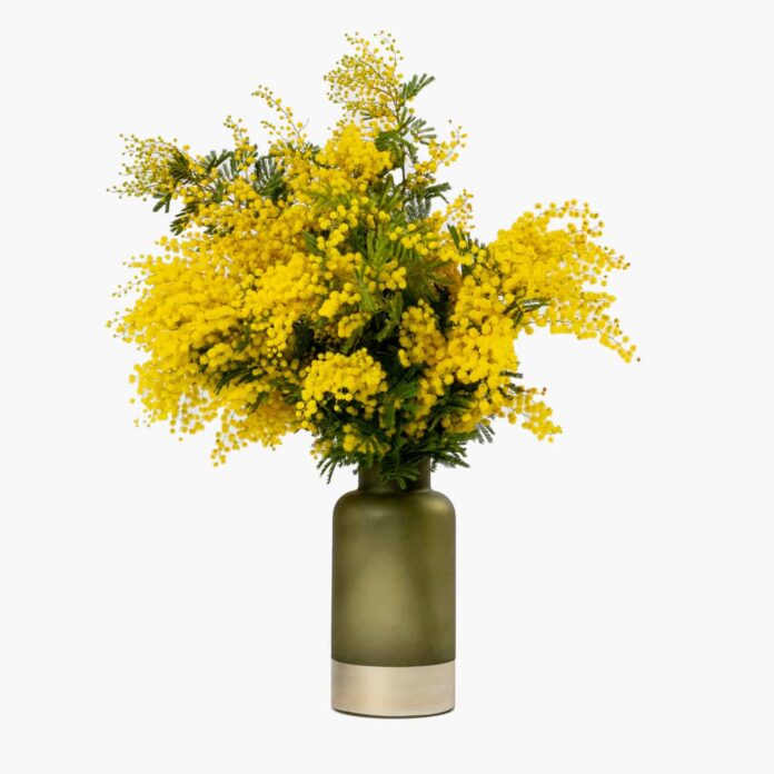 bloom sunshine yellow mimosa bouquet