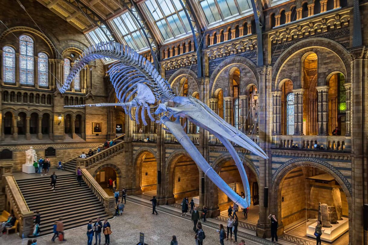 natural history museum
