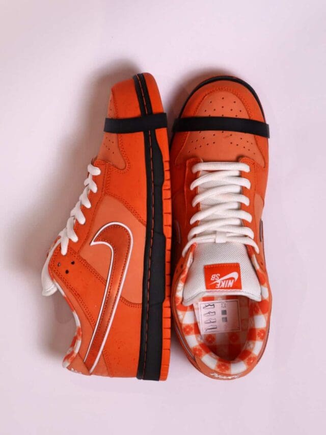 Nike’s SB Dunk Concept low sneakers in orange lobster