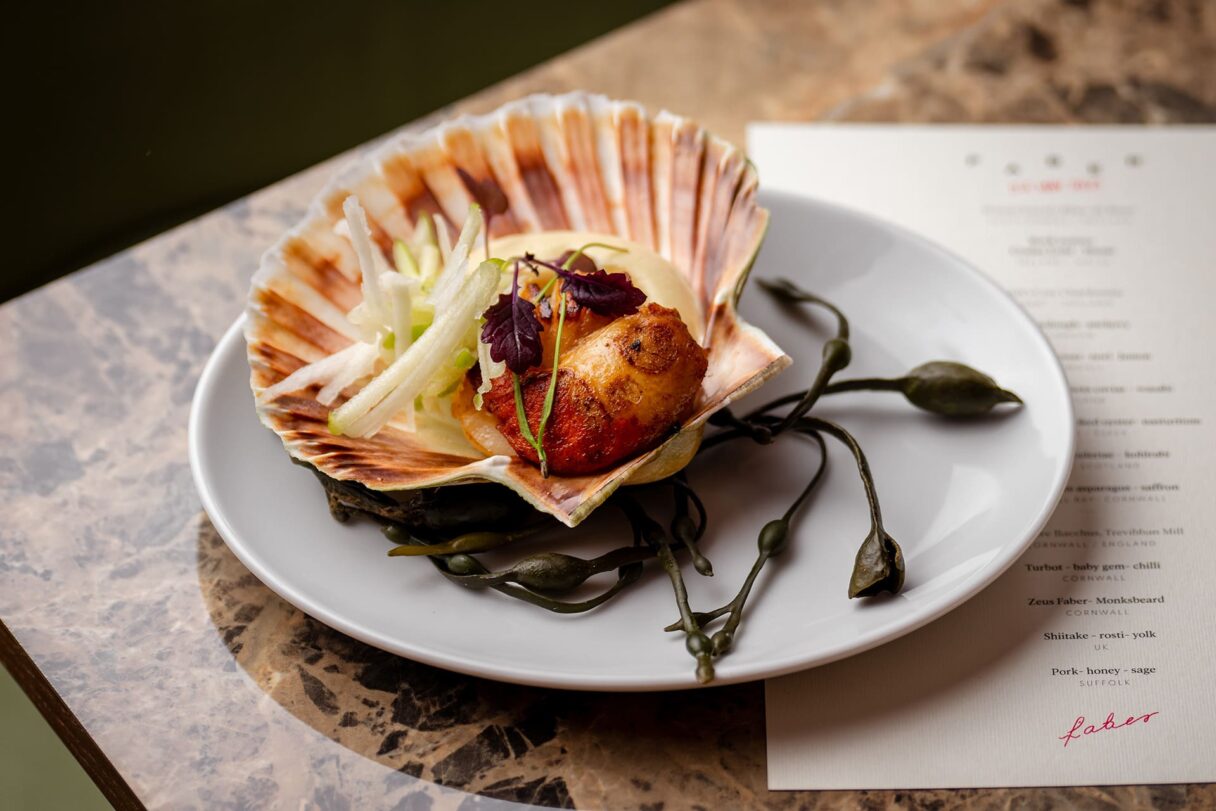faber scallops