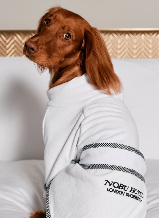 nobu hotel shoreditch dog friendly