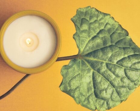 scanted candles