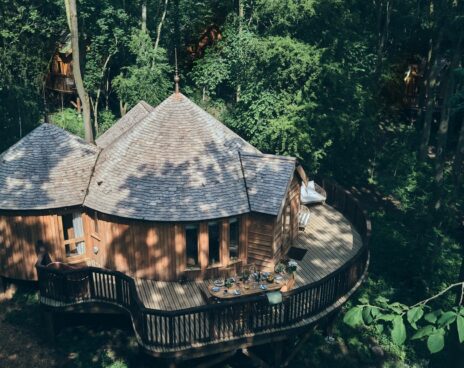 wildhive callow hall treehouse stays