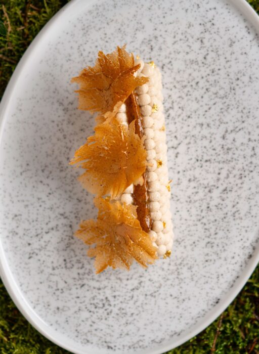 alain ducasse yule log