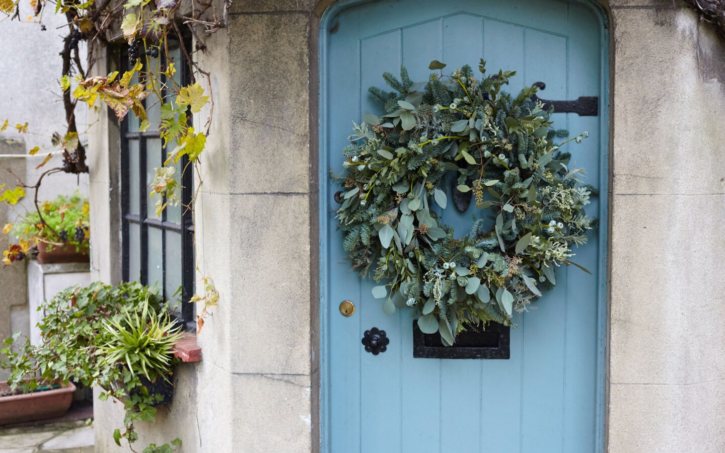 Christmas wreaths by Lucy Vail Floristry
