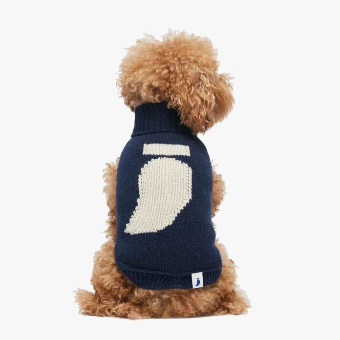 the painter's wife dog sweater
