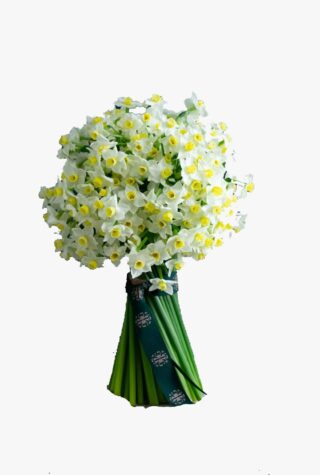 Lavender Green Noteworthy Narcissi bouquet