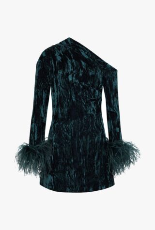 16 Arlington Adelaide feather-trimmed velvet mini dress harvey nichols event dressing