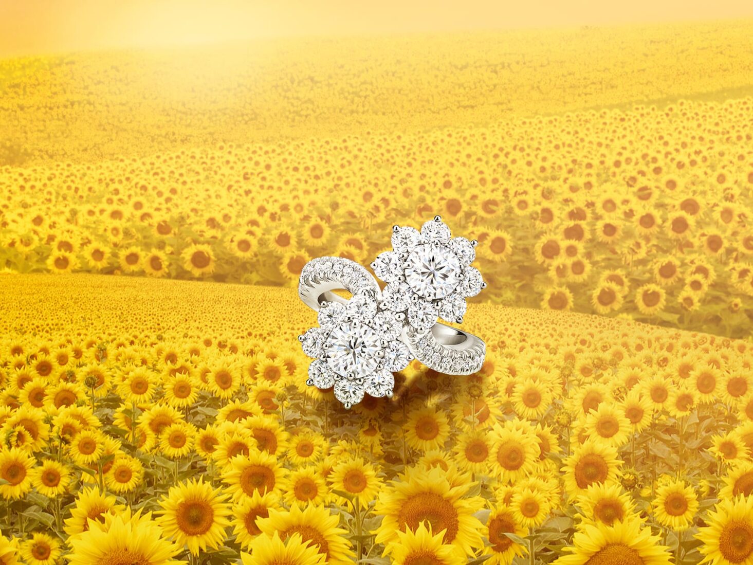 Harry Winston Sunflower collection