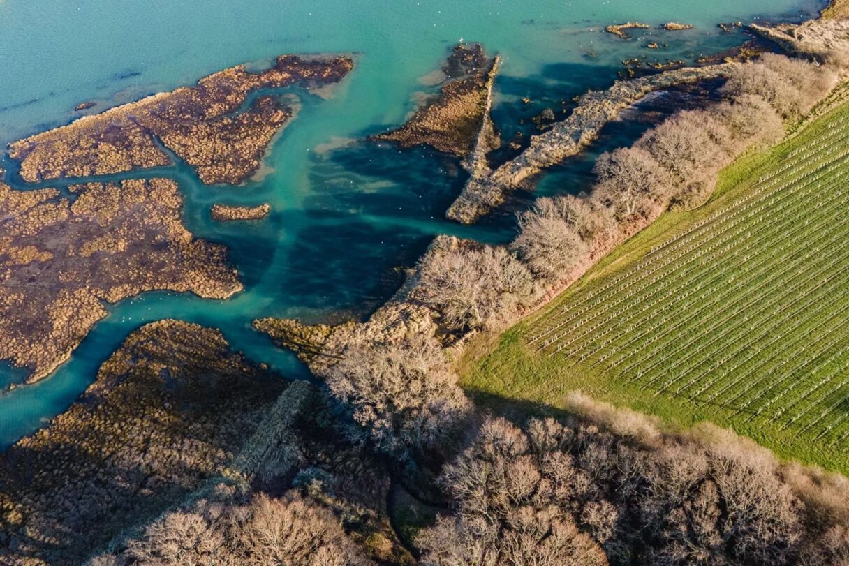 pinkmead isle of wight