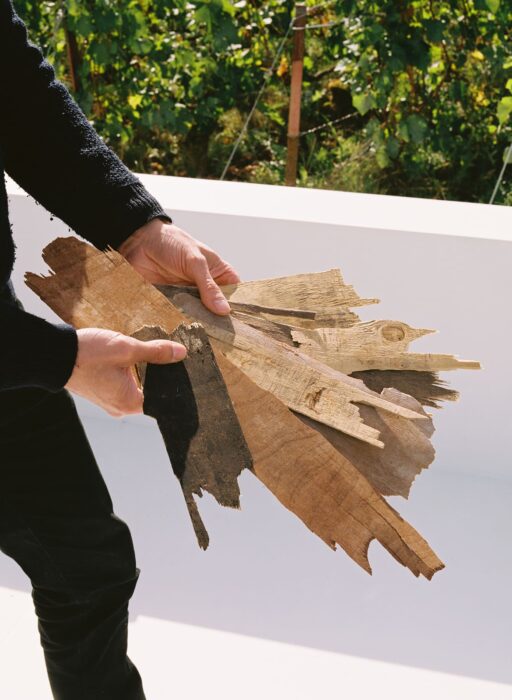 henrique oliveira plywood