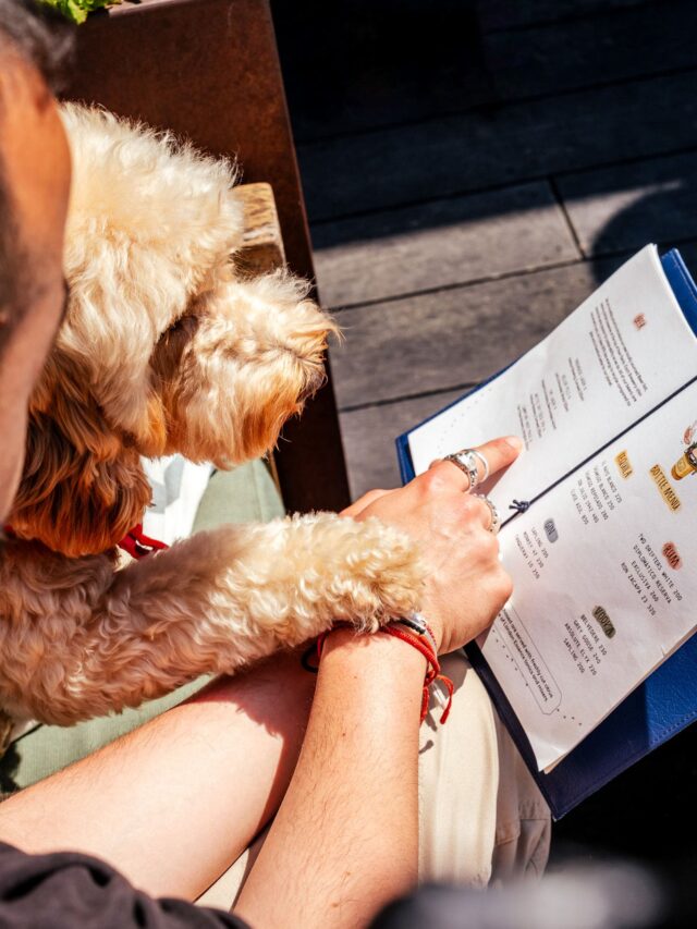 treehouse london dogs