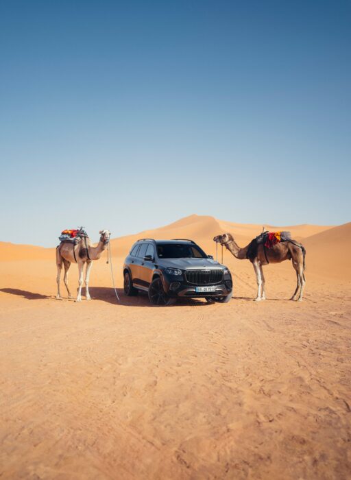 mercedes-maybach gls600