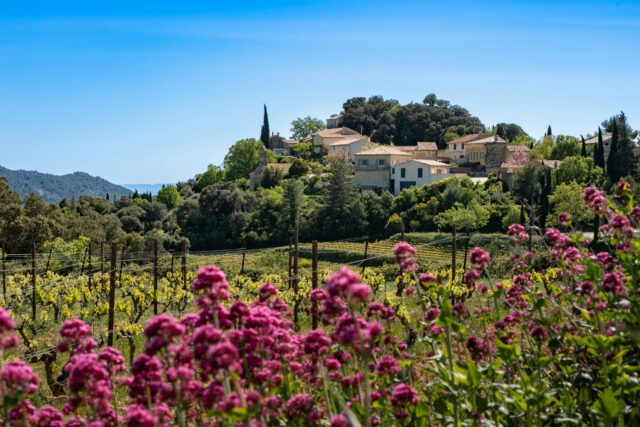 Provence, South of France