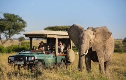 Masai Mara, Kenya