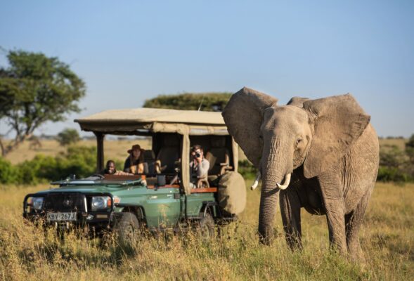 Masai Mara, Kenya