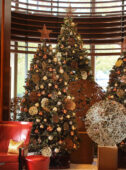 45 Park Lane artist's tree