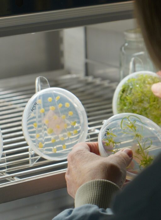Future of Food at the Science Museum