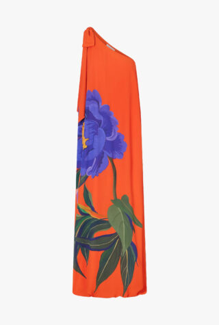 Borgo de Nor Lani floral-print maxi dress