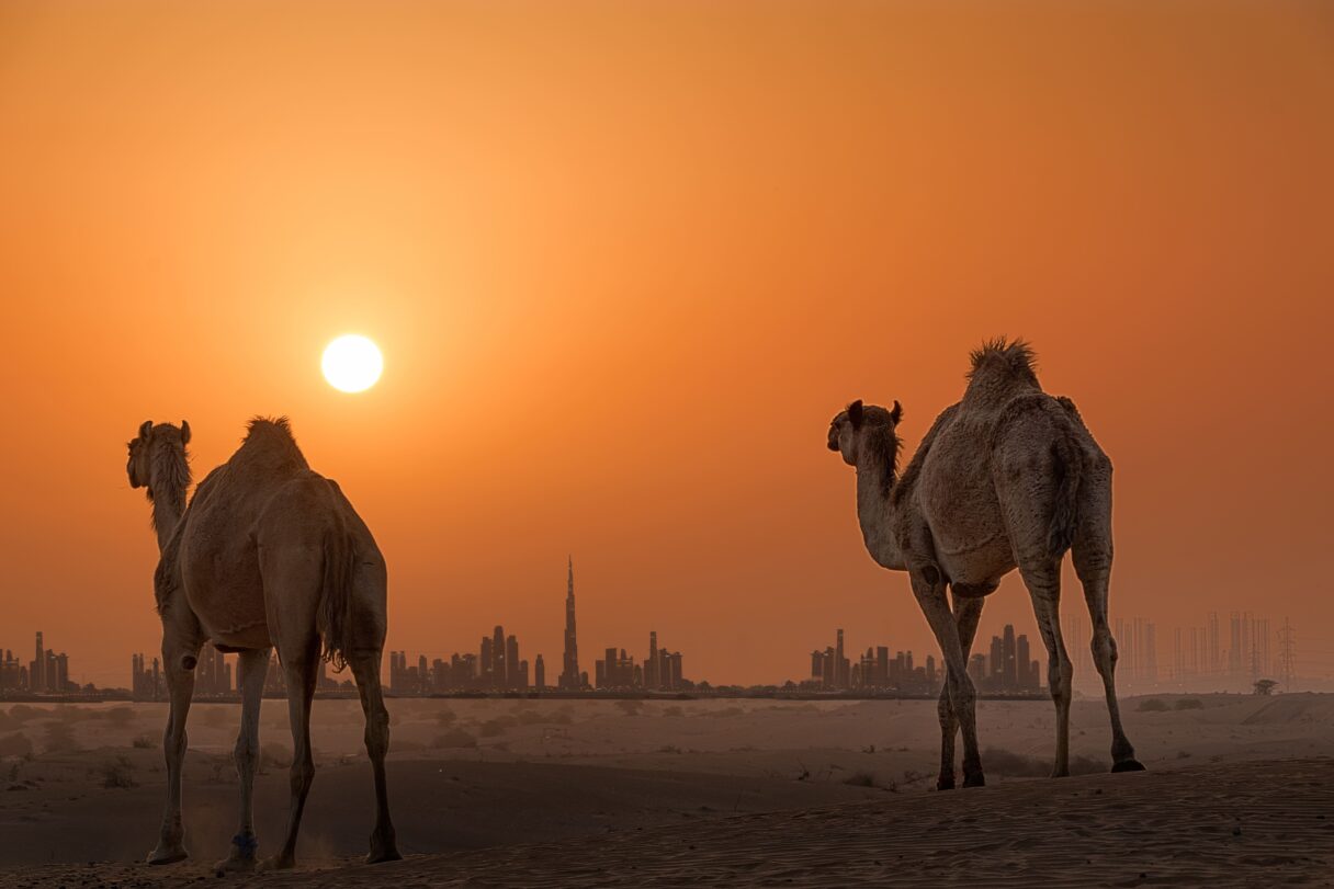 dubai desert