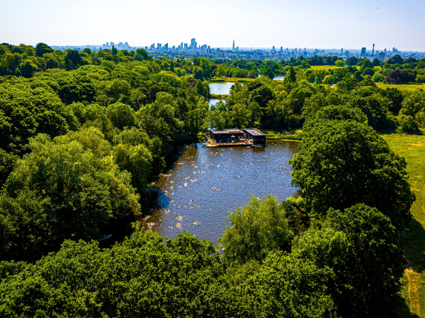 hampstead heath ponds