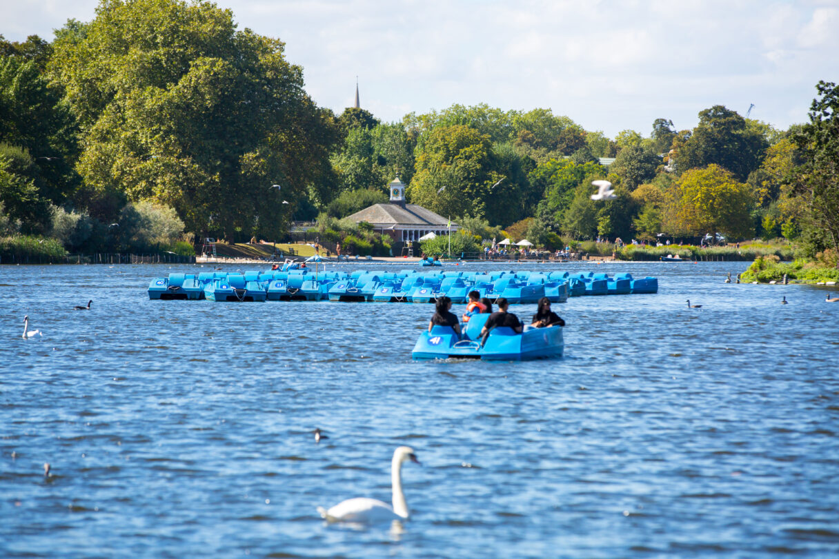 serpentine lido