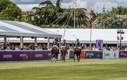 polo in the park
