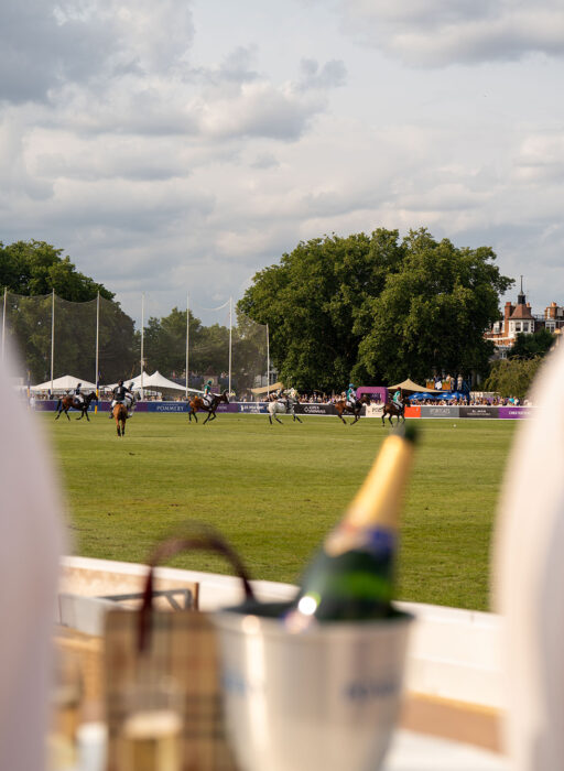 Polo in the Park