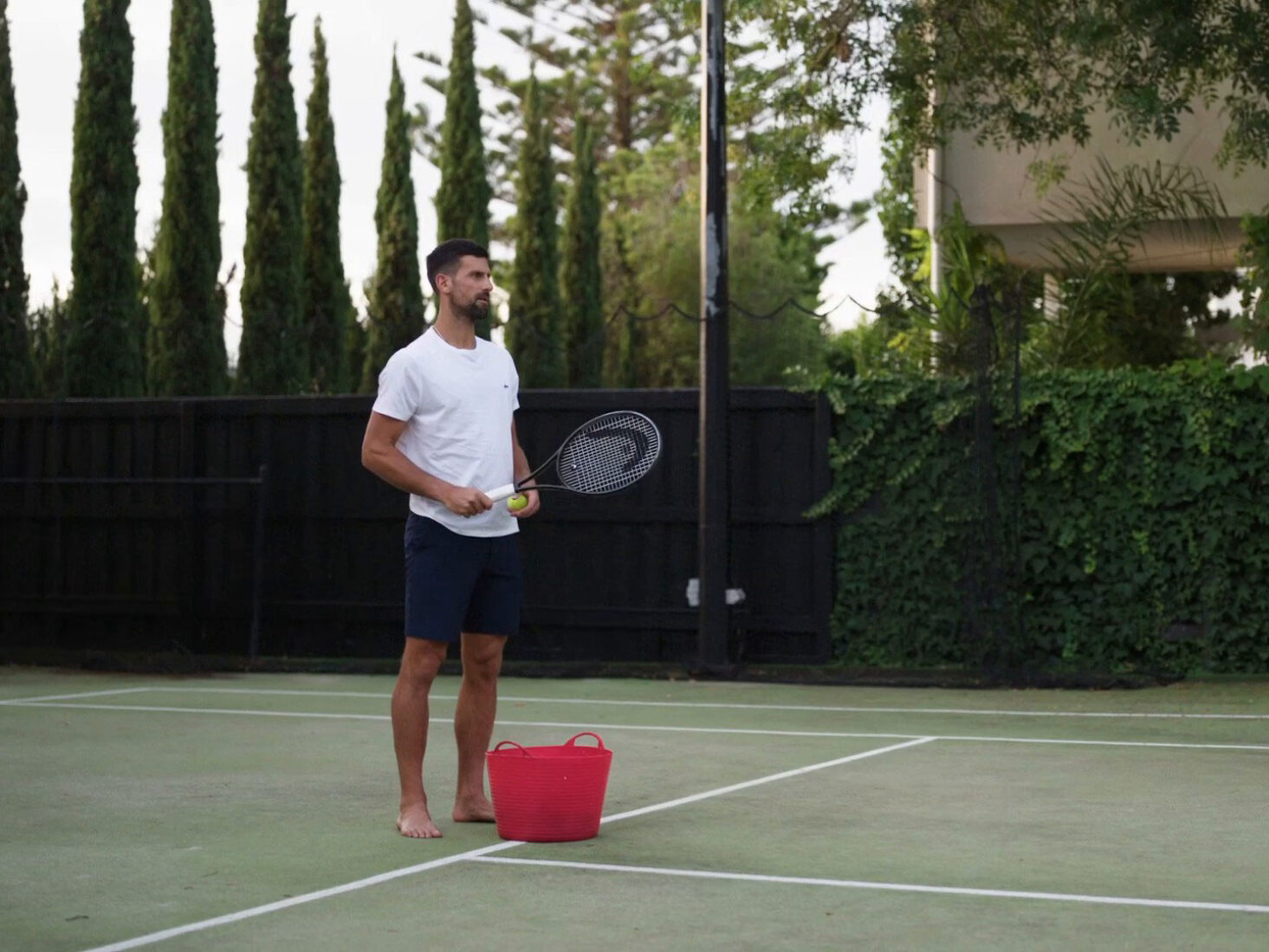 Novak Djokovic: The Wolf in Winter
