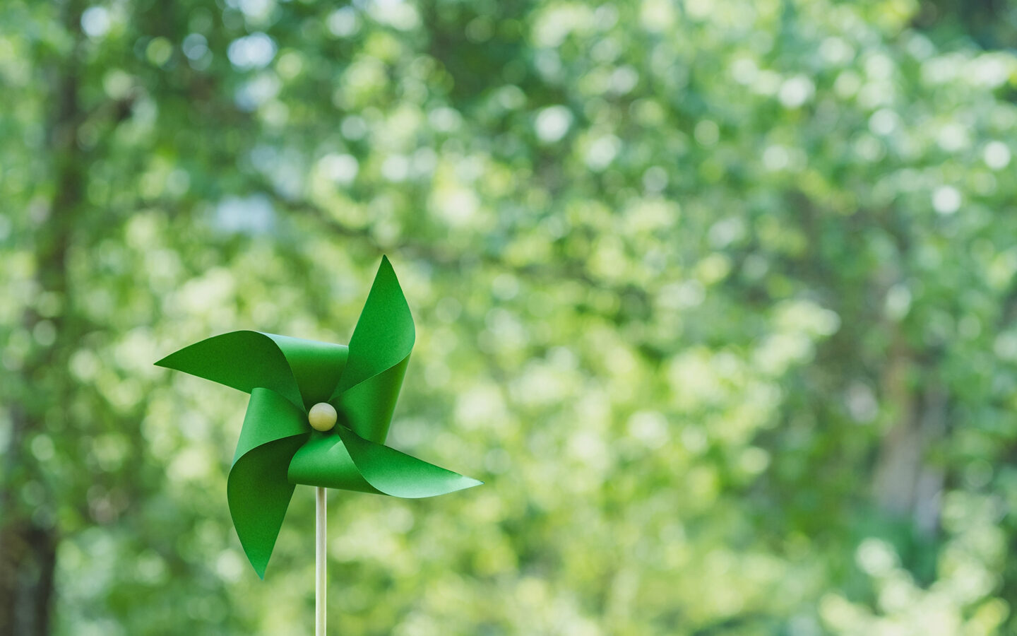 sustainable investments