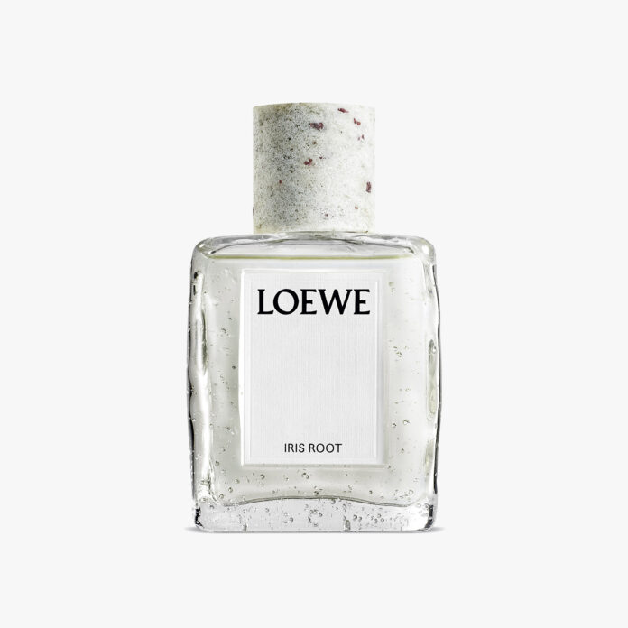 loewe iris root edp