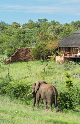 Madikwe Reserve, South Africa