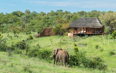Madikwe Reserve, South Africa