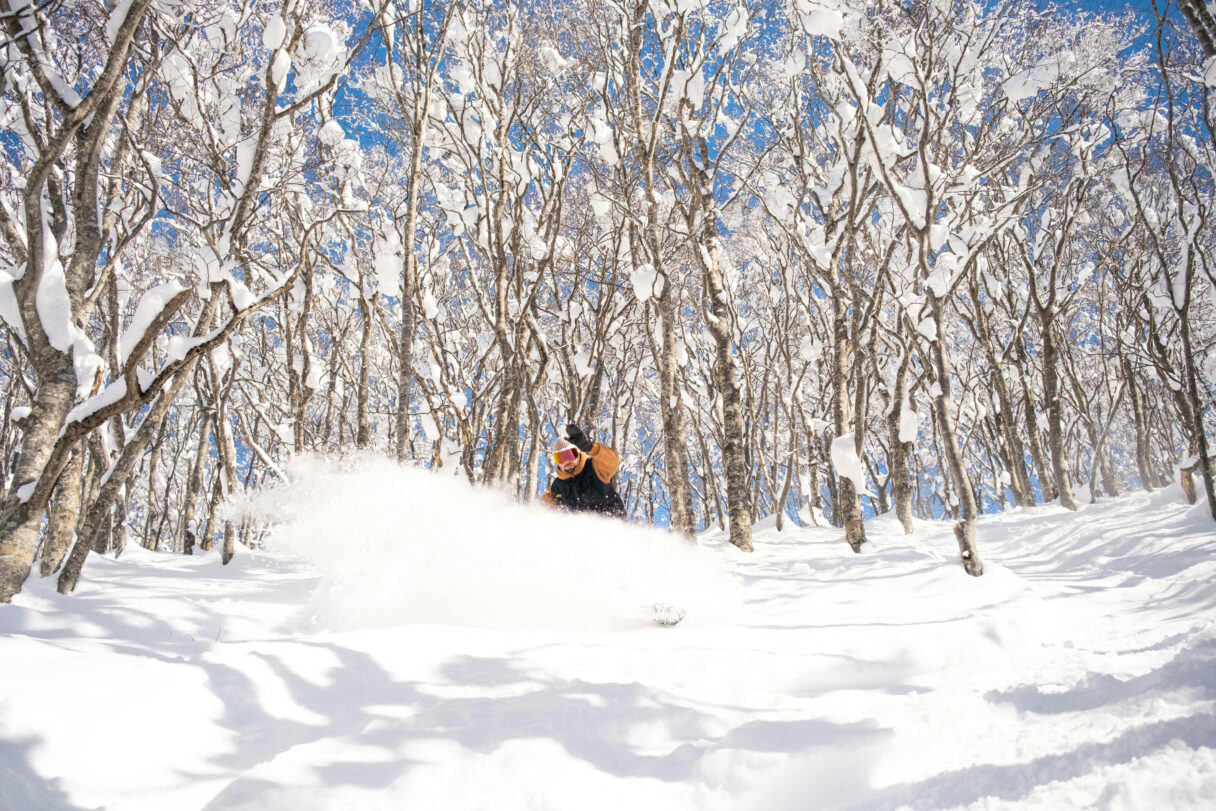 japow