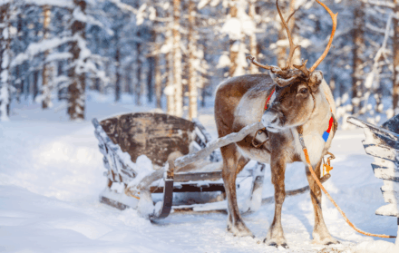 lapland
