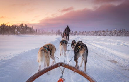 swedish lapland