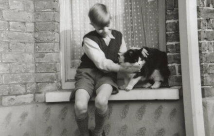 David Bowie