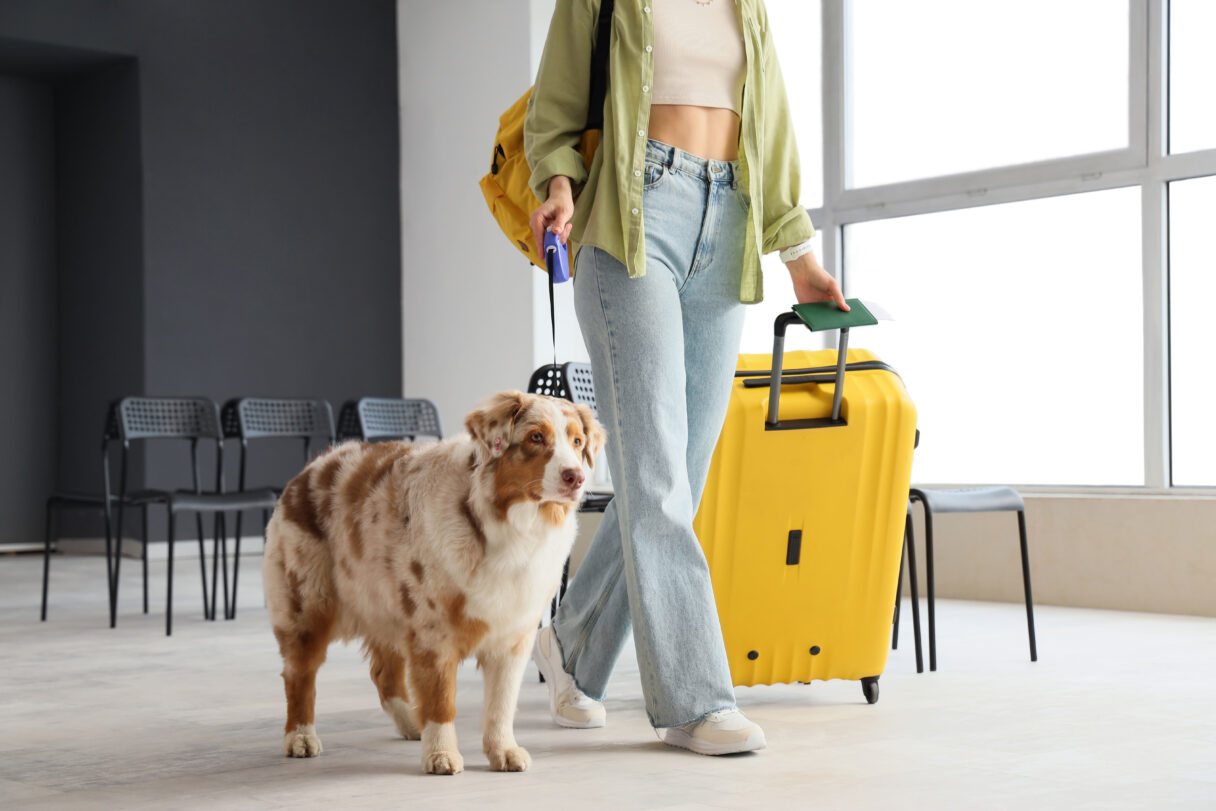 dog friendly