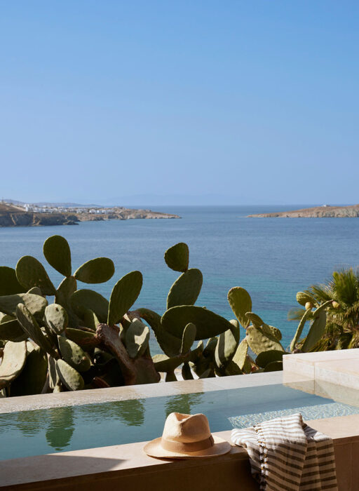 bill & coo mykonos
