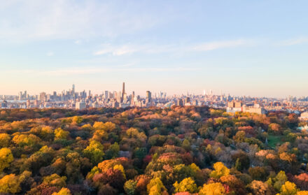 new york
