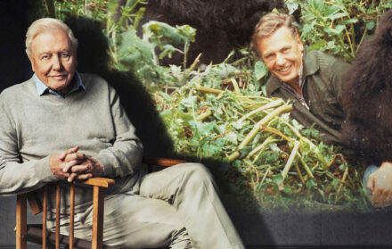 david attenborough 100